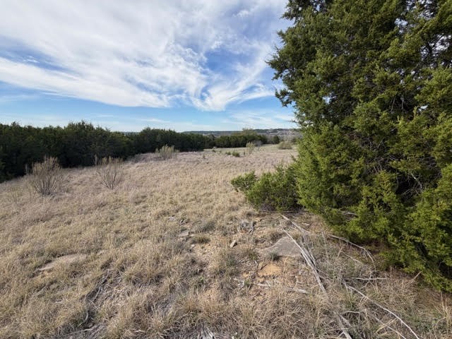 1160 Prairie Falcon Court Graford TX 76449