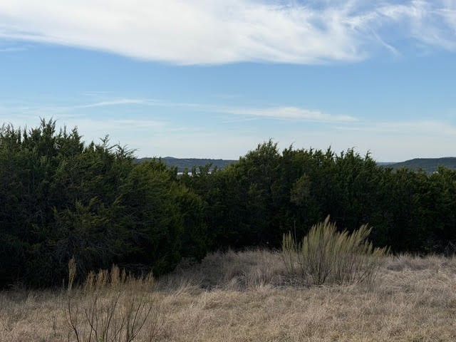 1160 Prairie Falcon Court Graford TX 76449