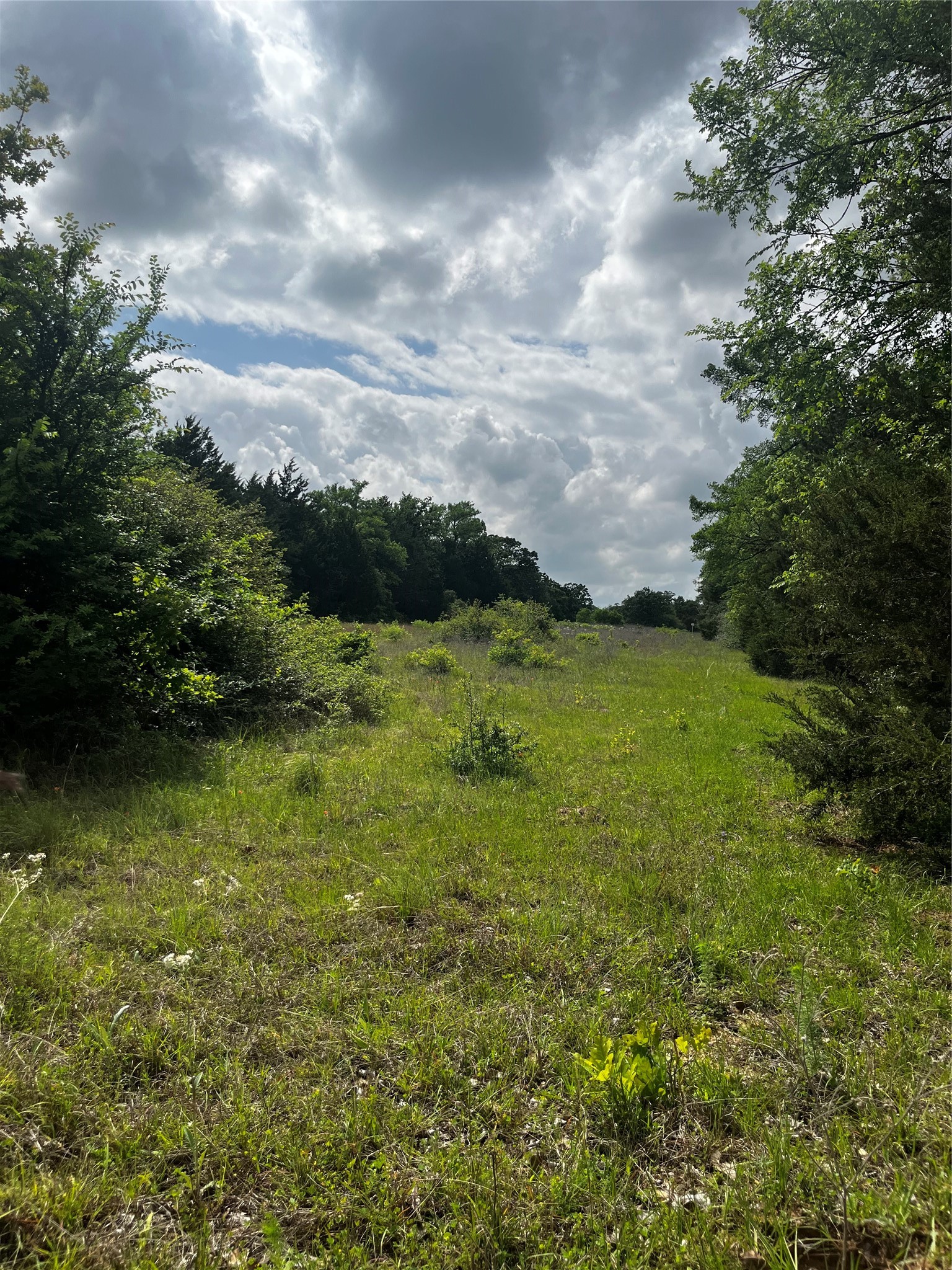 Tbd Pr 5787 Groesbeck TX 76642