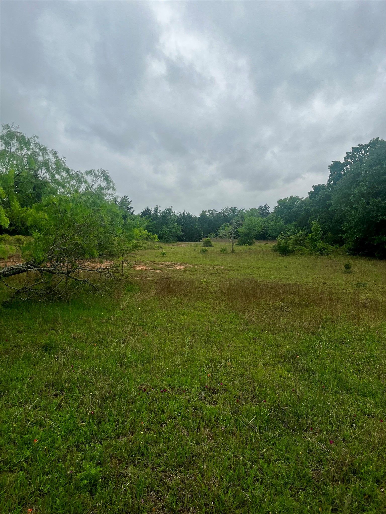 Tbd Pr 5787 Groesbeck TX 76642