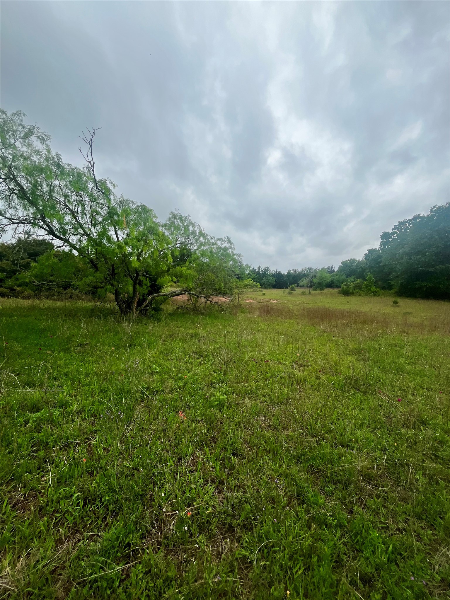 Tbd Pr 5787 Groesbeck TX 76642