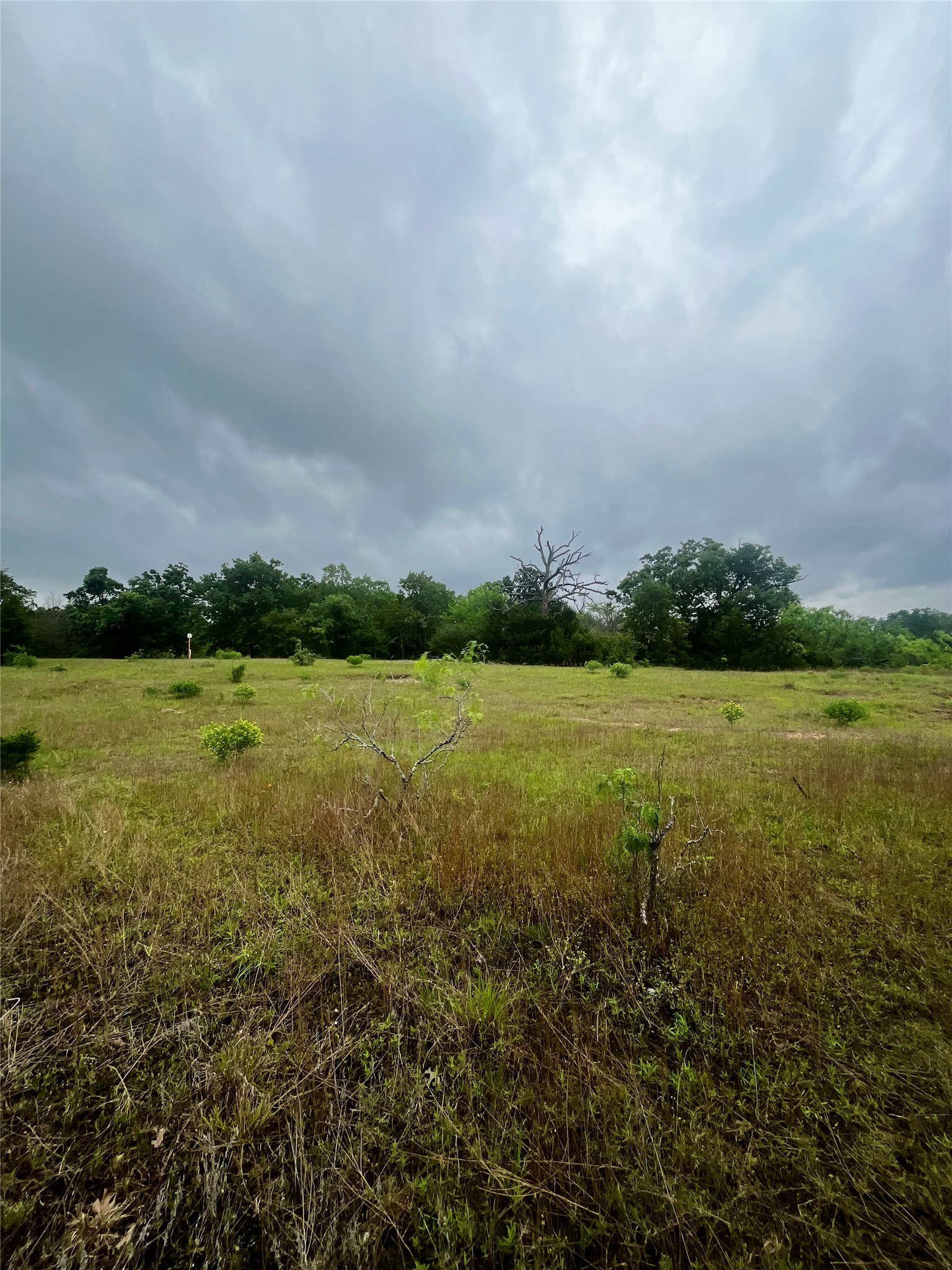 Tbd Pr 5787 Groesbeck TX 76642