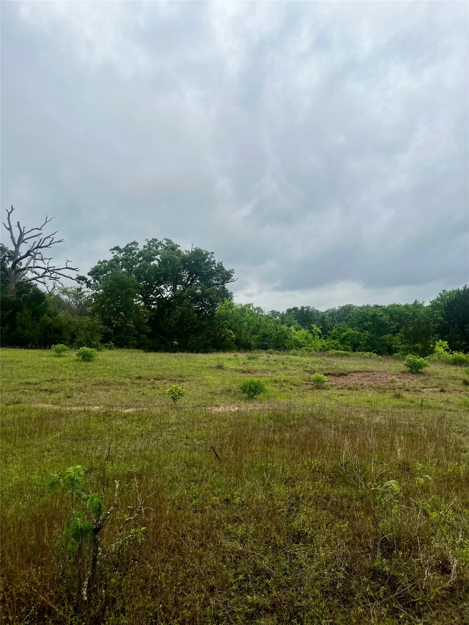 Tbd Pr 5787 Groesbeck TX 76642