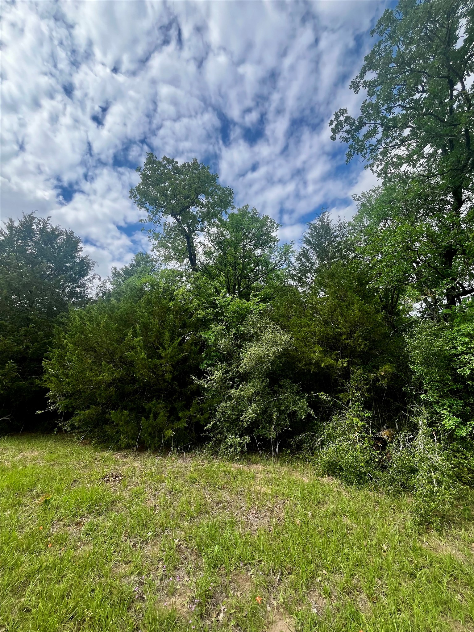 Tbd Pr 5787 Groesbeck TX 76642
