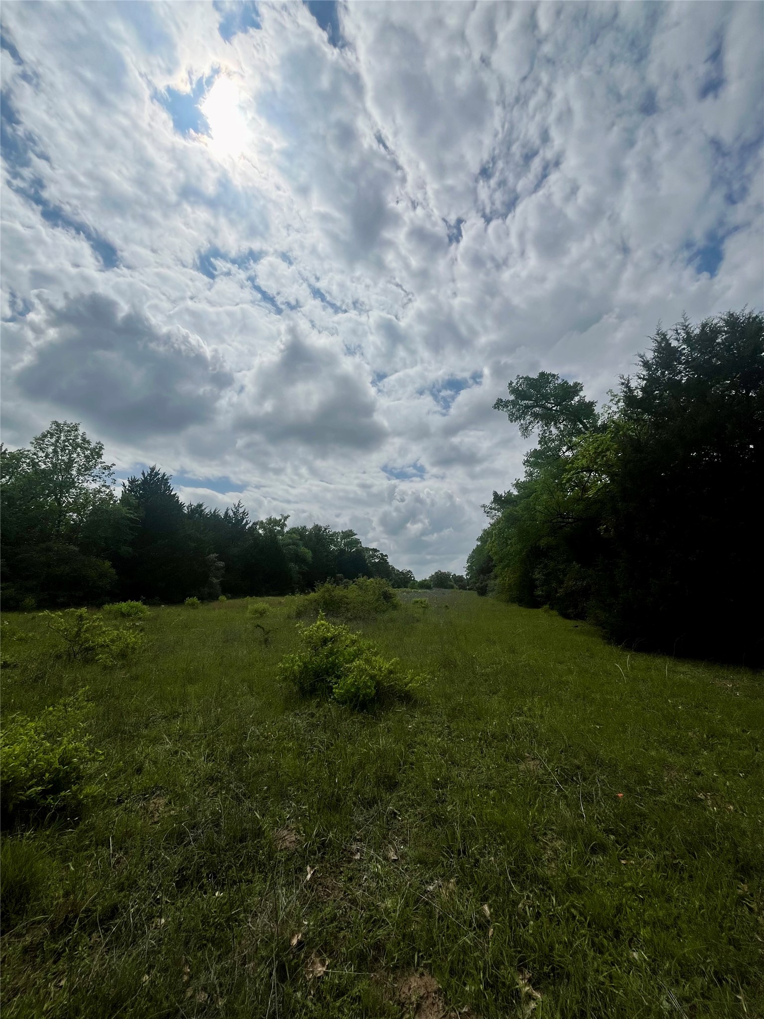 Tbd Pr 5787 Groesbeck TX 76642