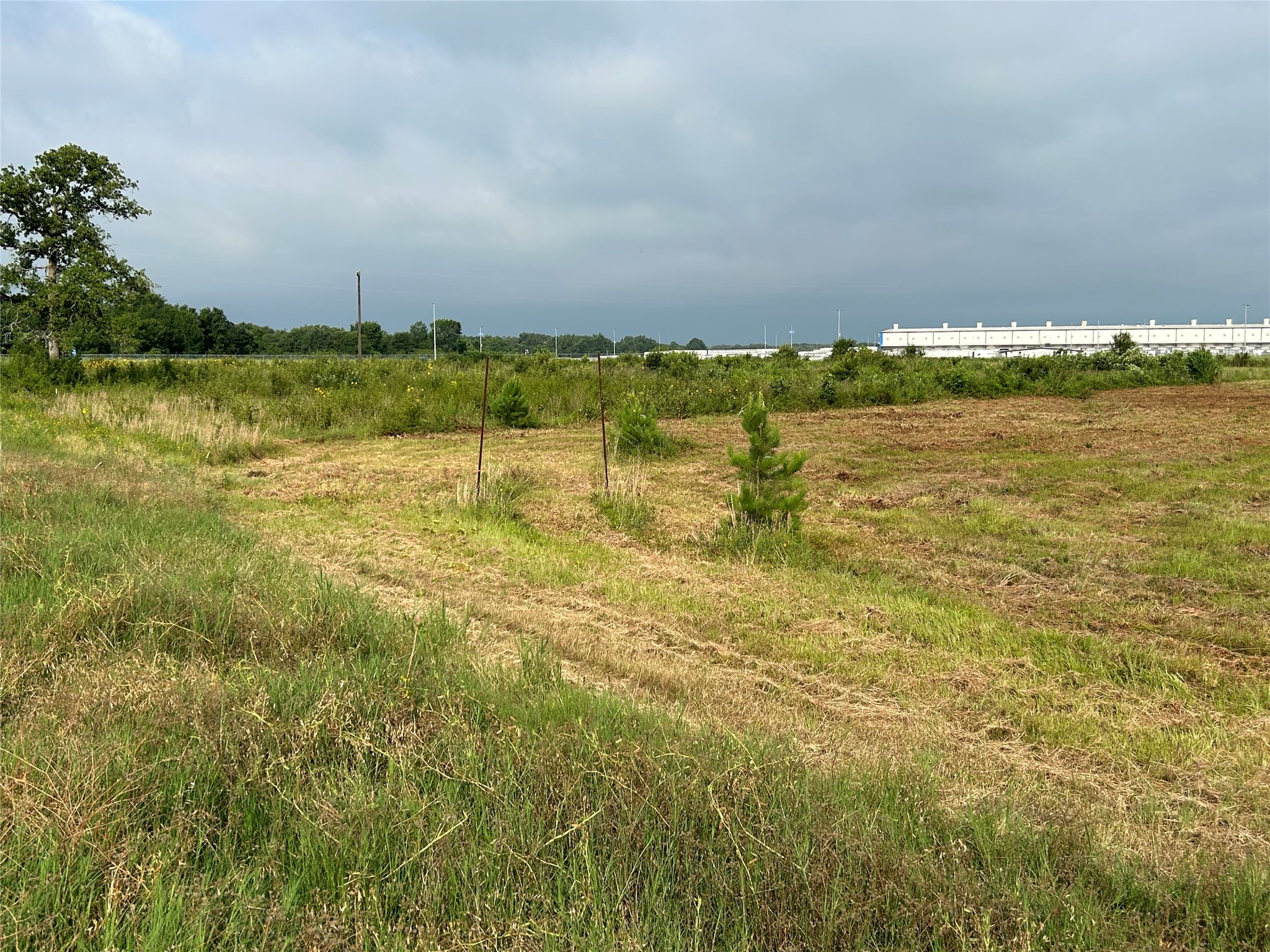 155 Us Highway 79 Palestine TX 75803