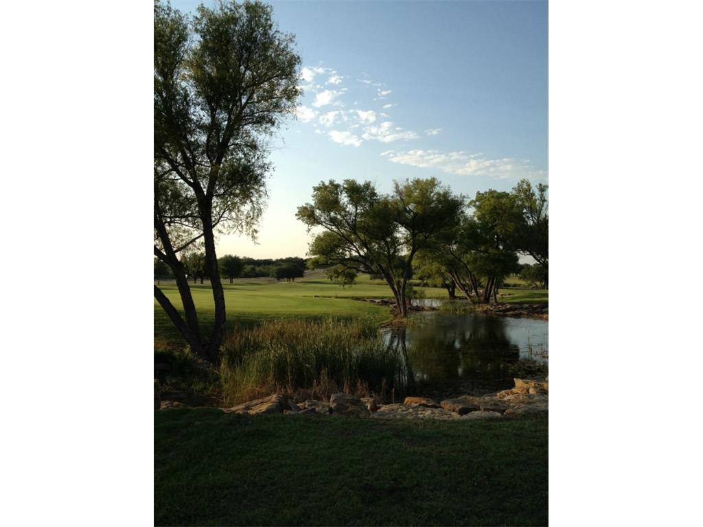 Tbd Falcon Drive Brownwood TX 76801