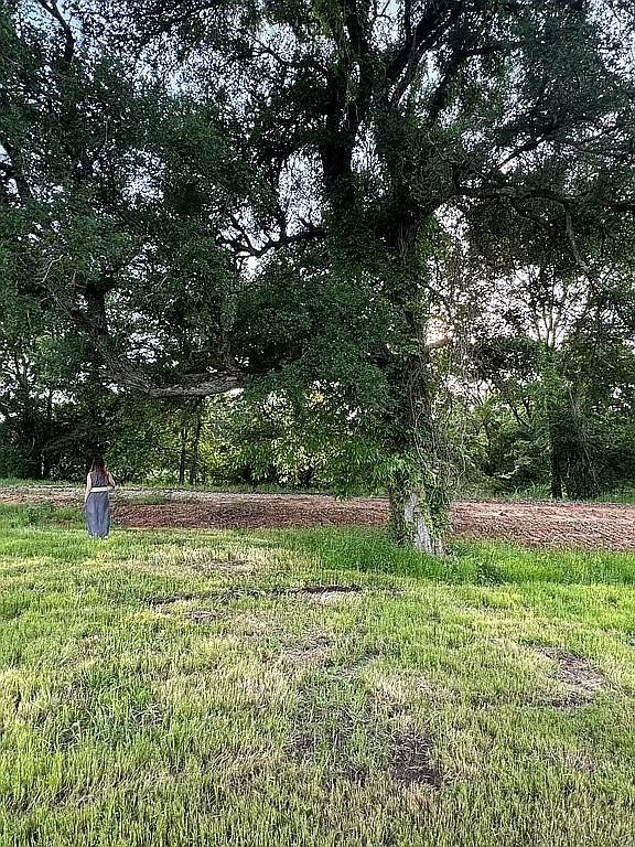 6 Sunrise Drive Dodd City TX 75438
