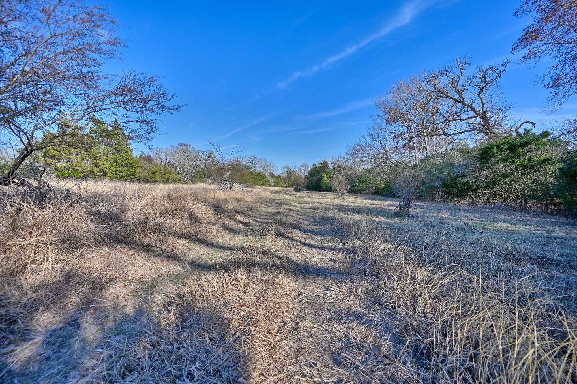 1505 Mcelroy Lane No City TX 78950