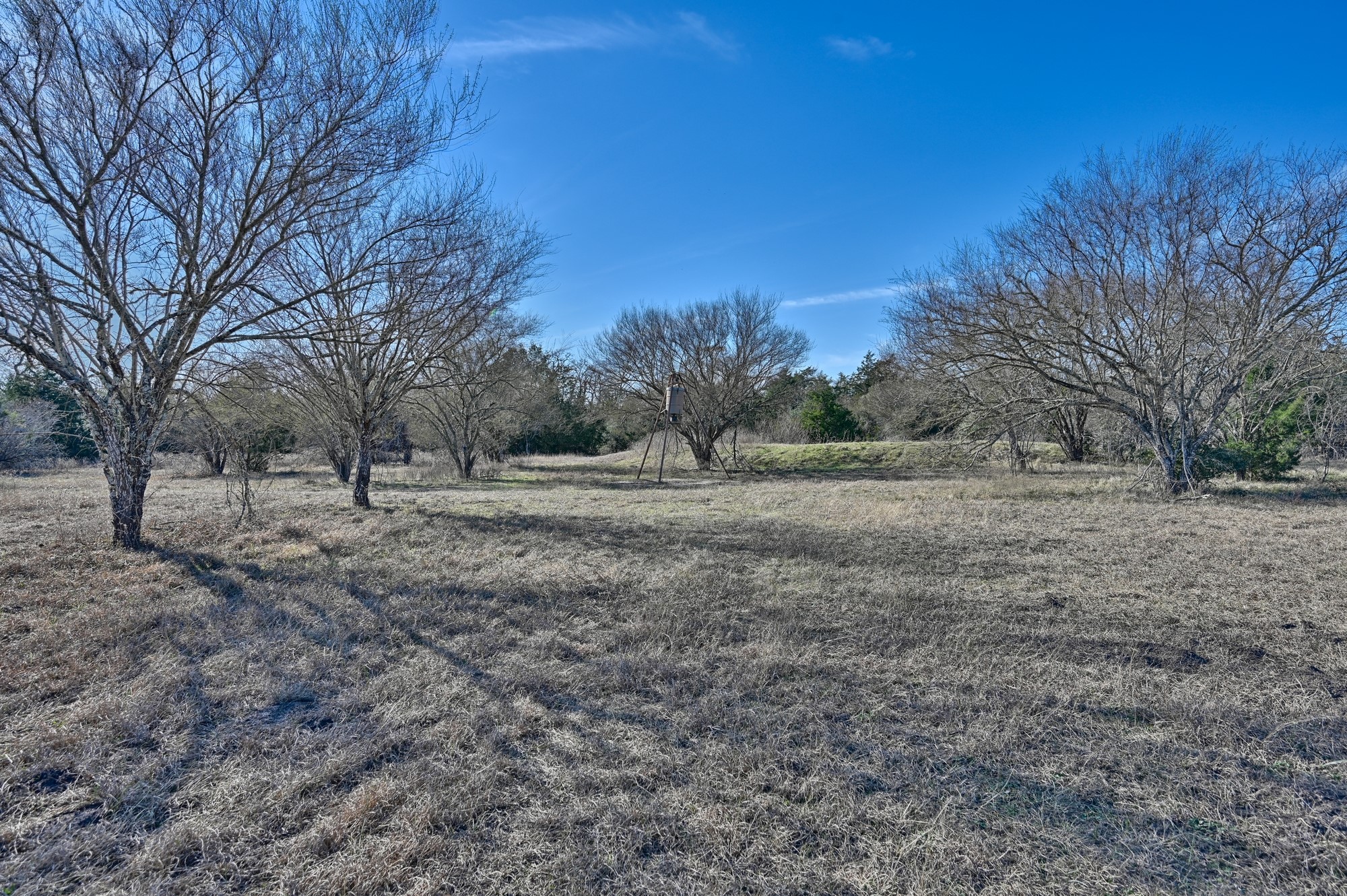 1505 Mcelroy Lane No City TX 78950