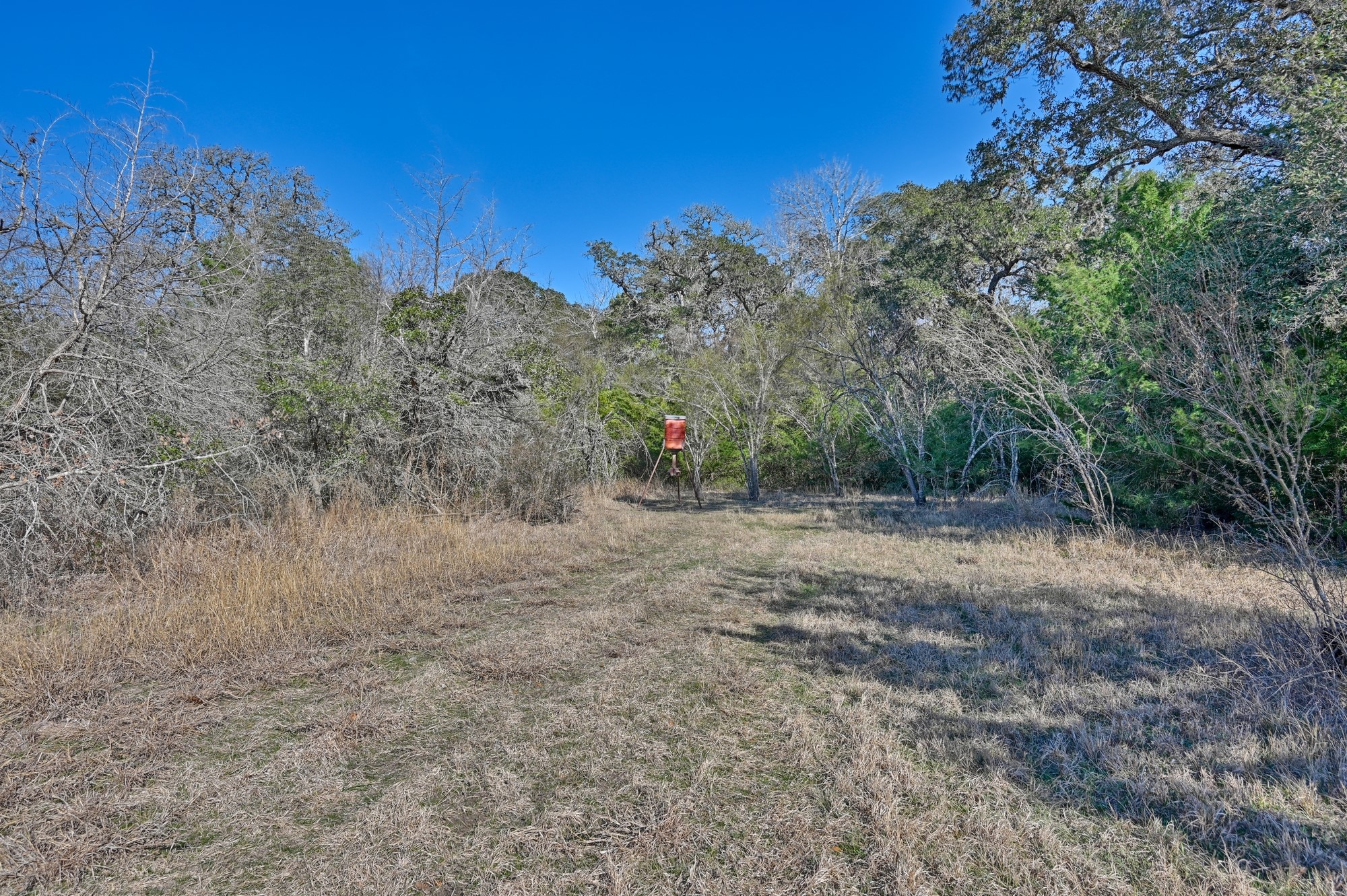 1505 Mcelroy Lane No City TX 78950