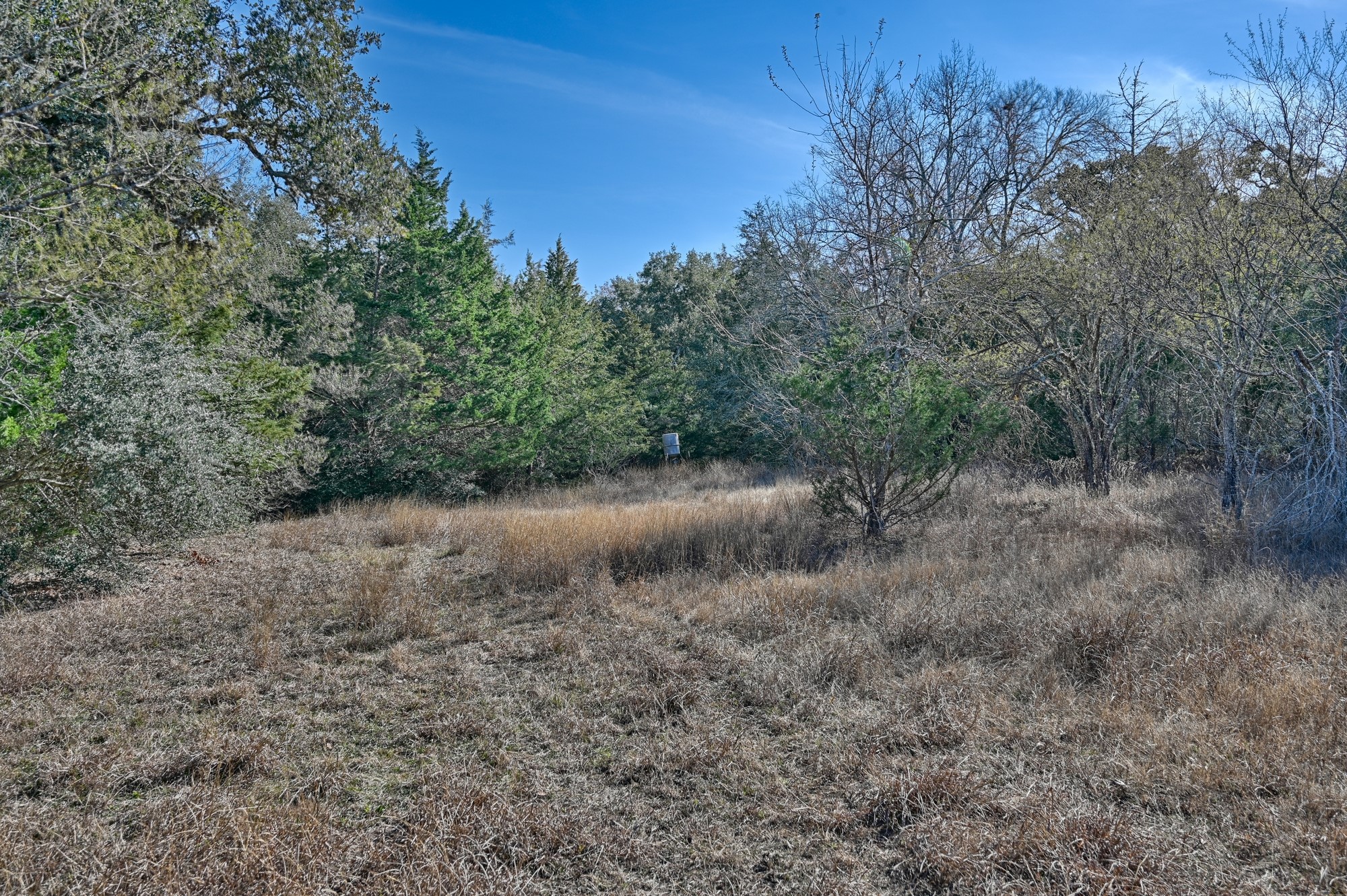 1505 Mcelroy Lane No City TX 78950