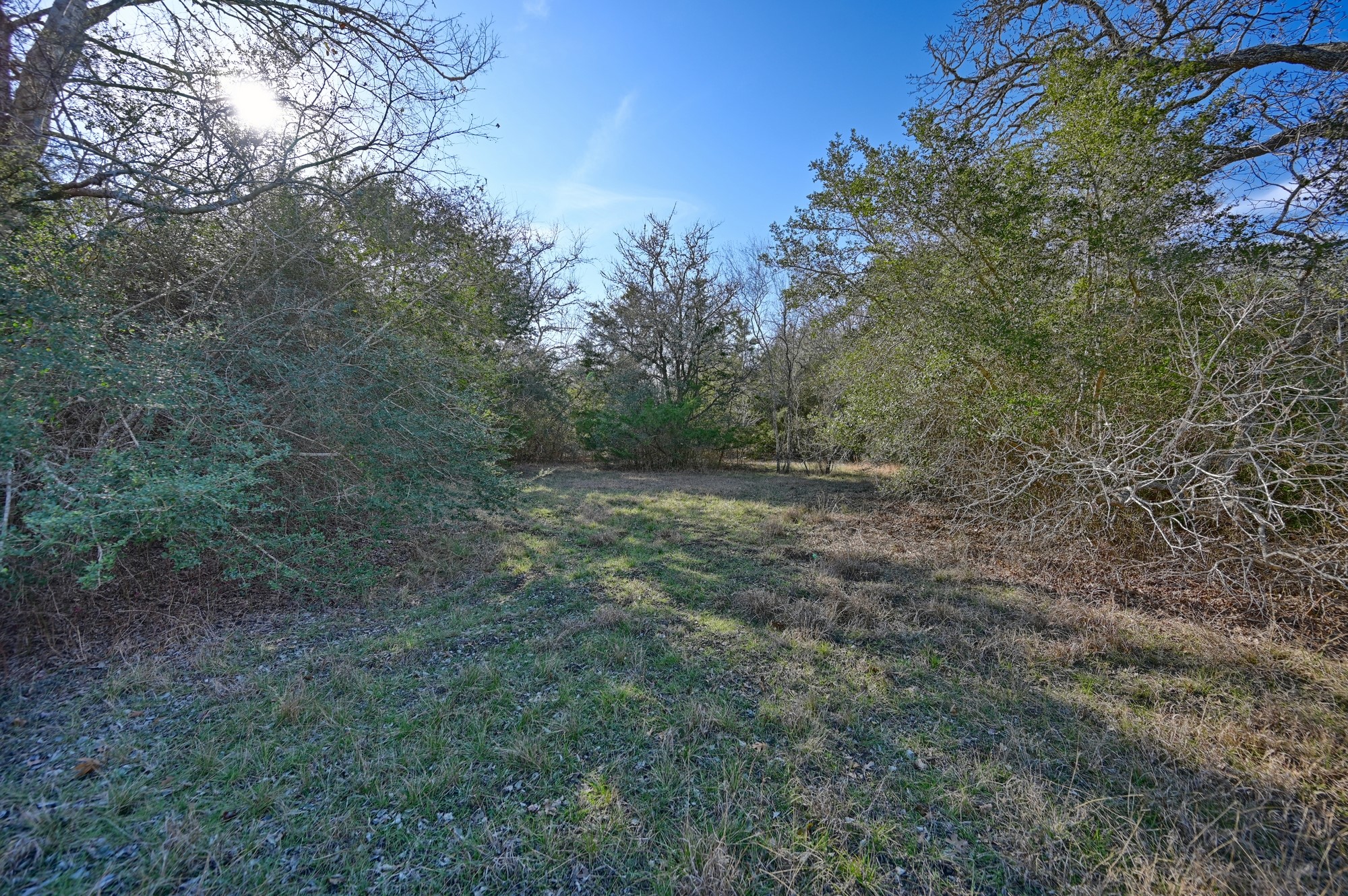 1505 Mcelroy Lane No City TX 78950