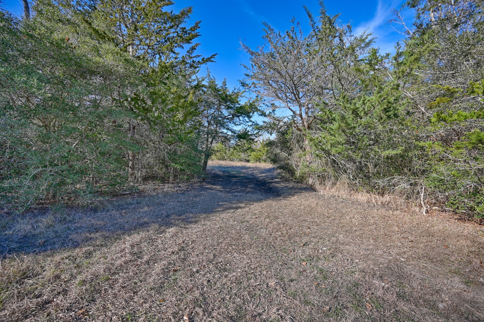 1505 Mcelroy Lane No City TX 78950