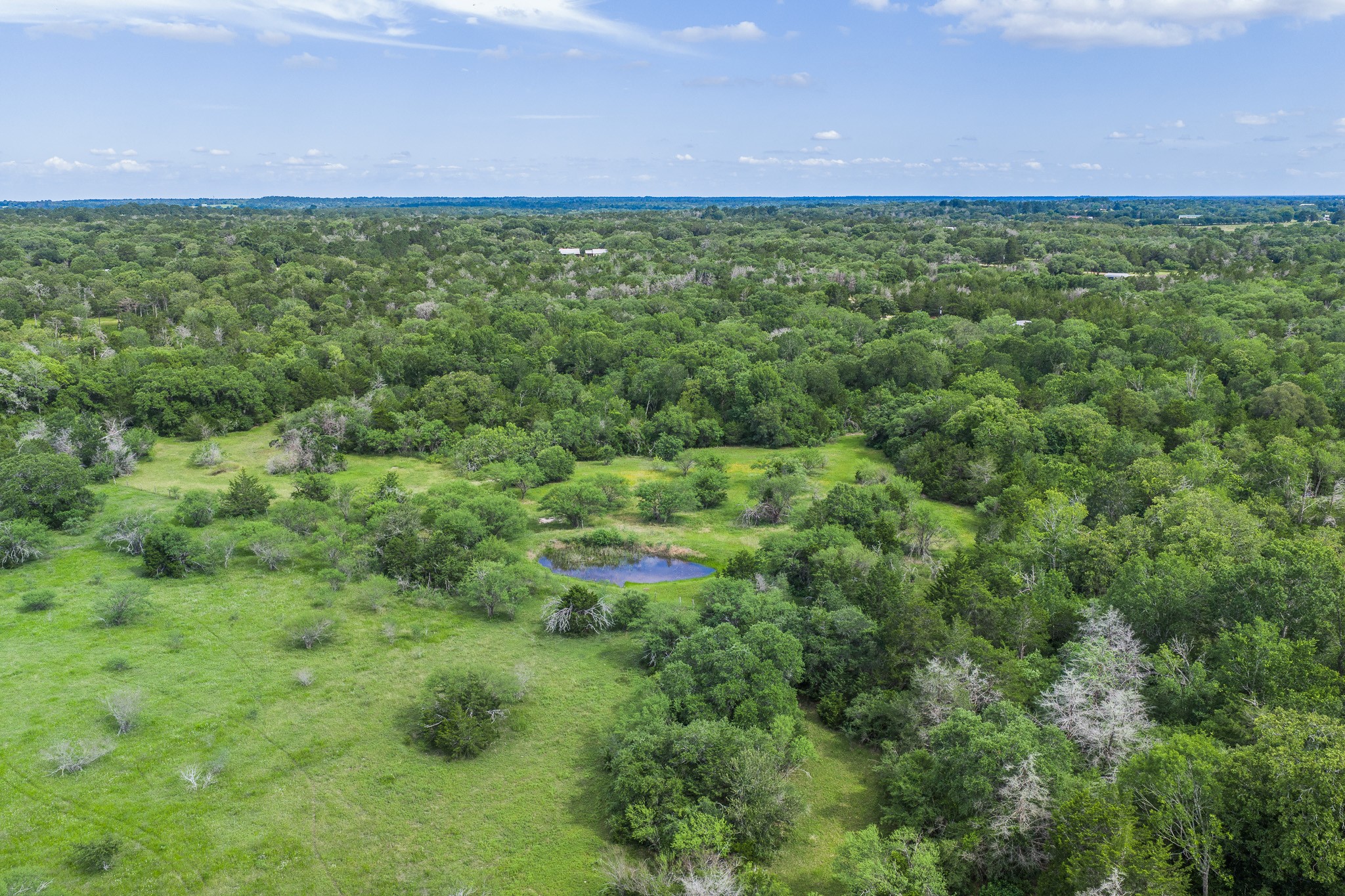1505 Mcelroy Lane No City TX 78950