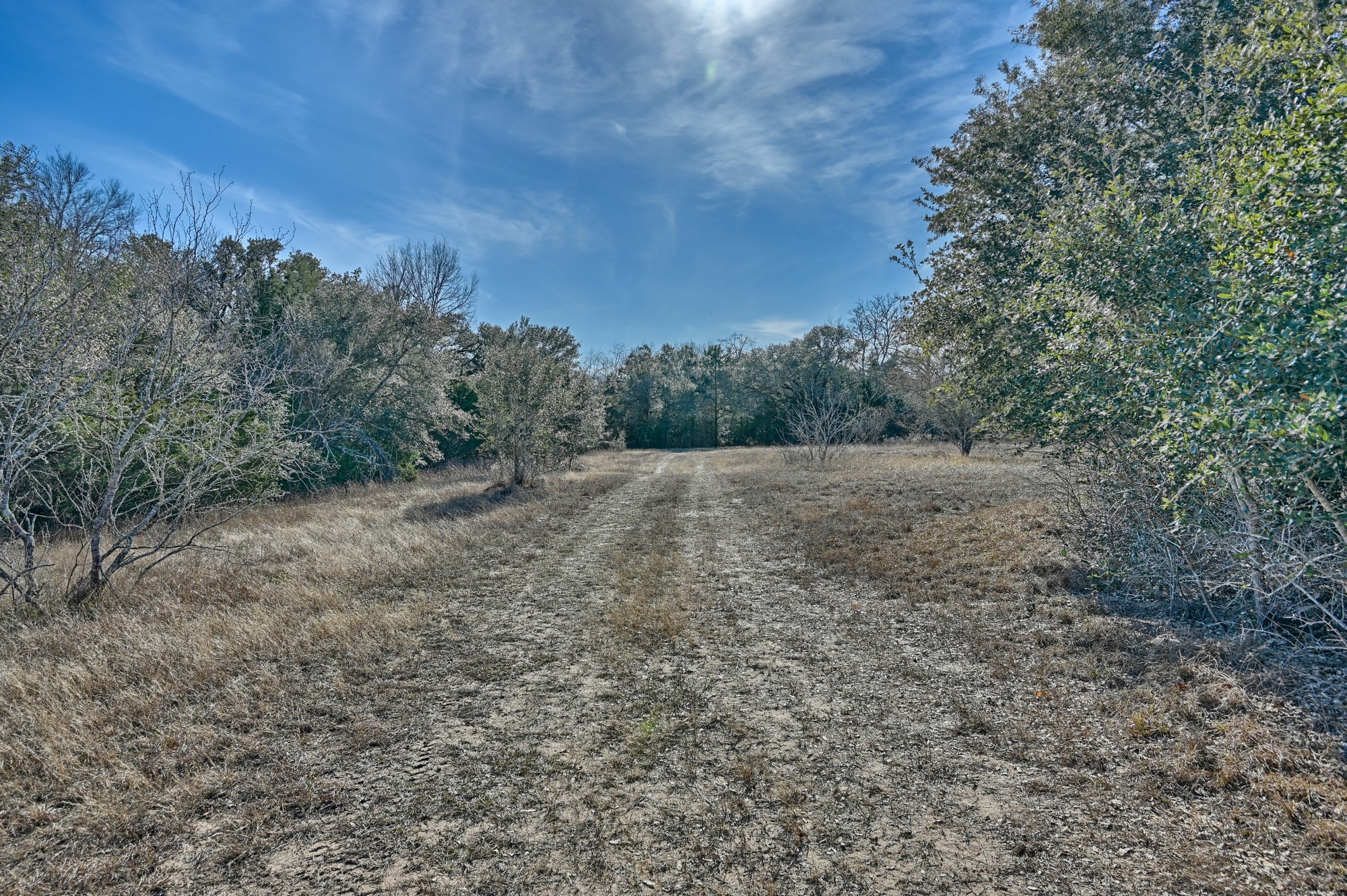 1505 Mcelroy Lane No City TX 78950