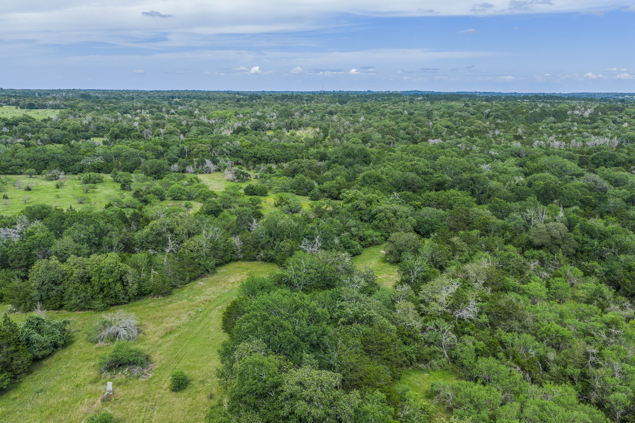 1505 Mcelroy Lane No City TX 78950