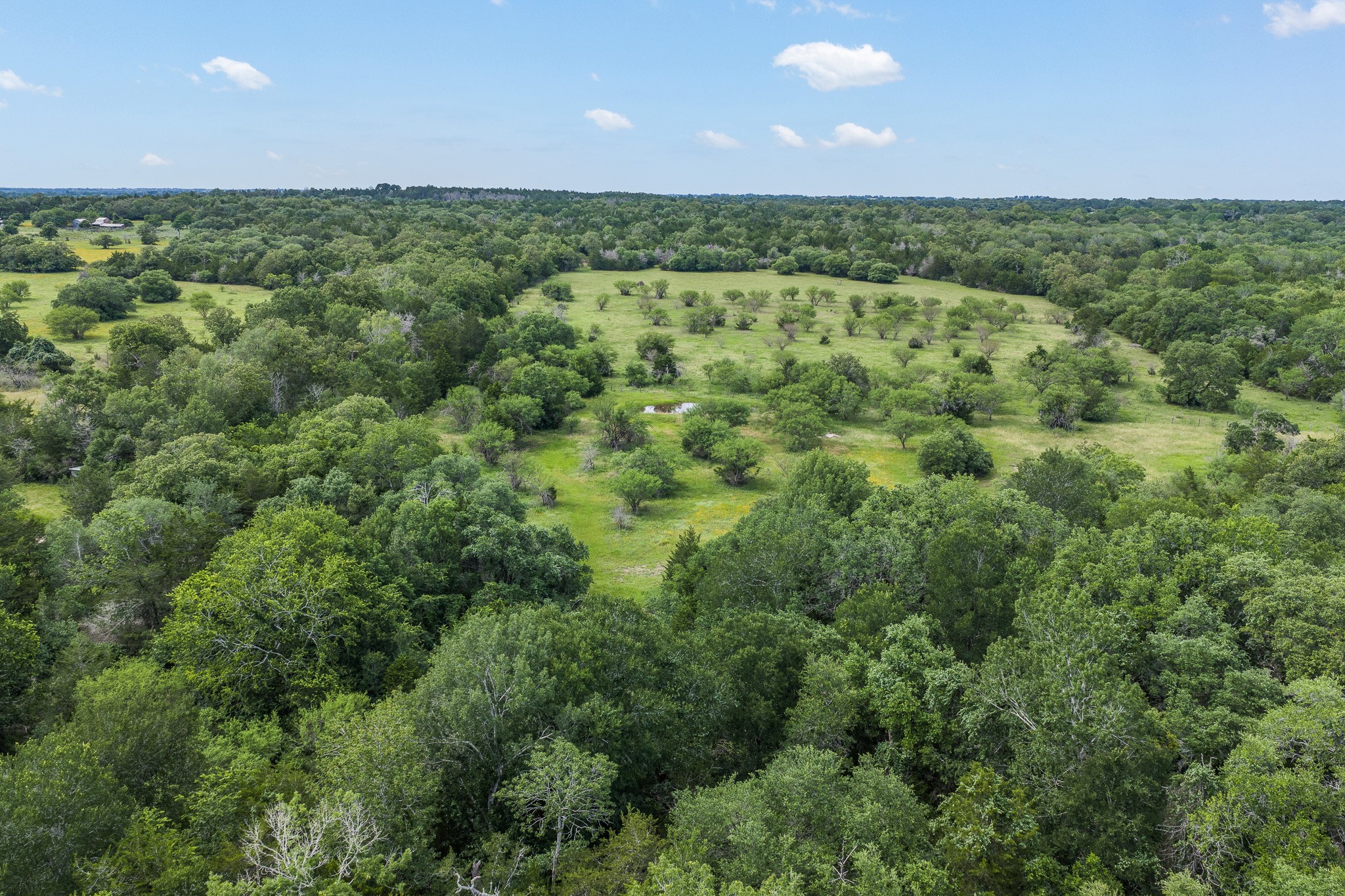 1505 Mcelroy Lane No City TX 78950