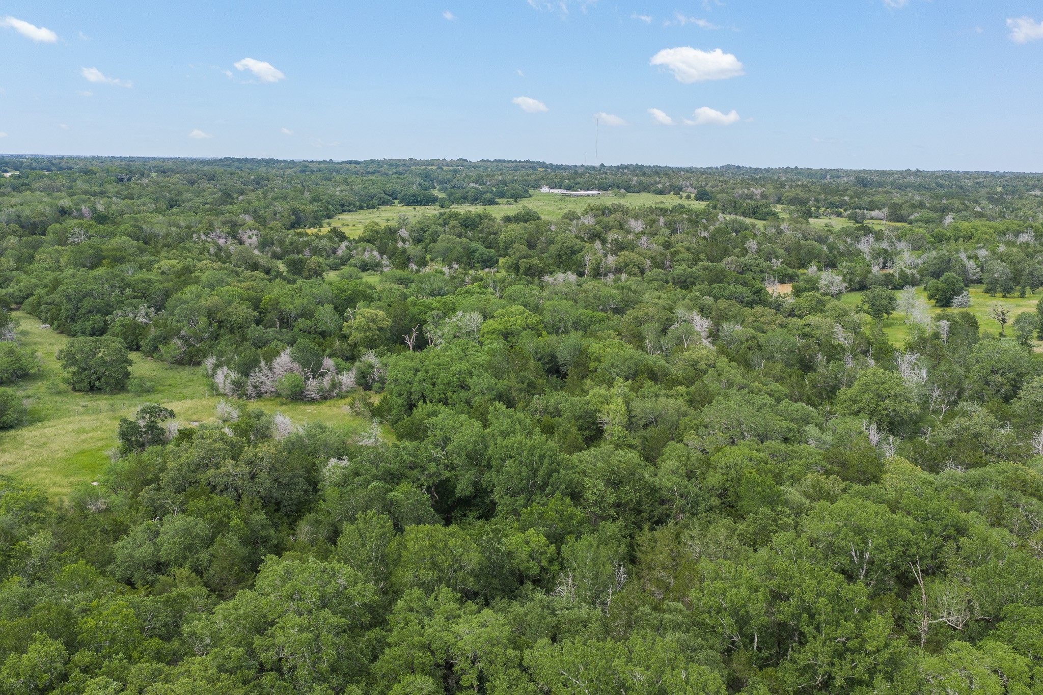 1505 Mcelroy Lane No City TX 78950