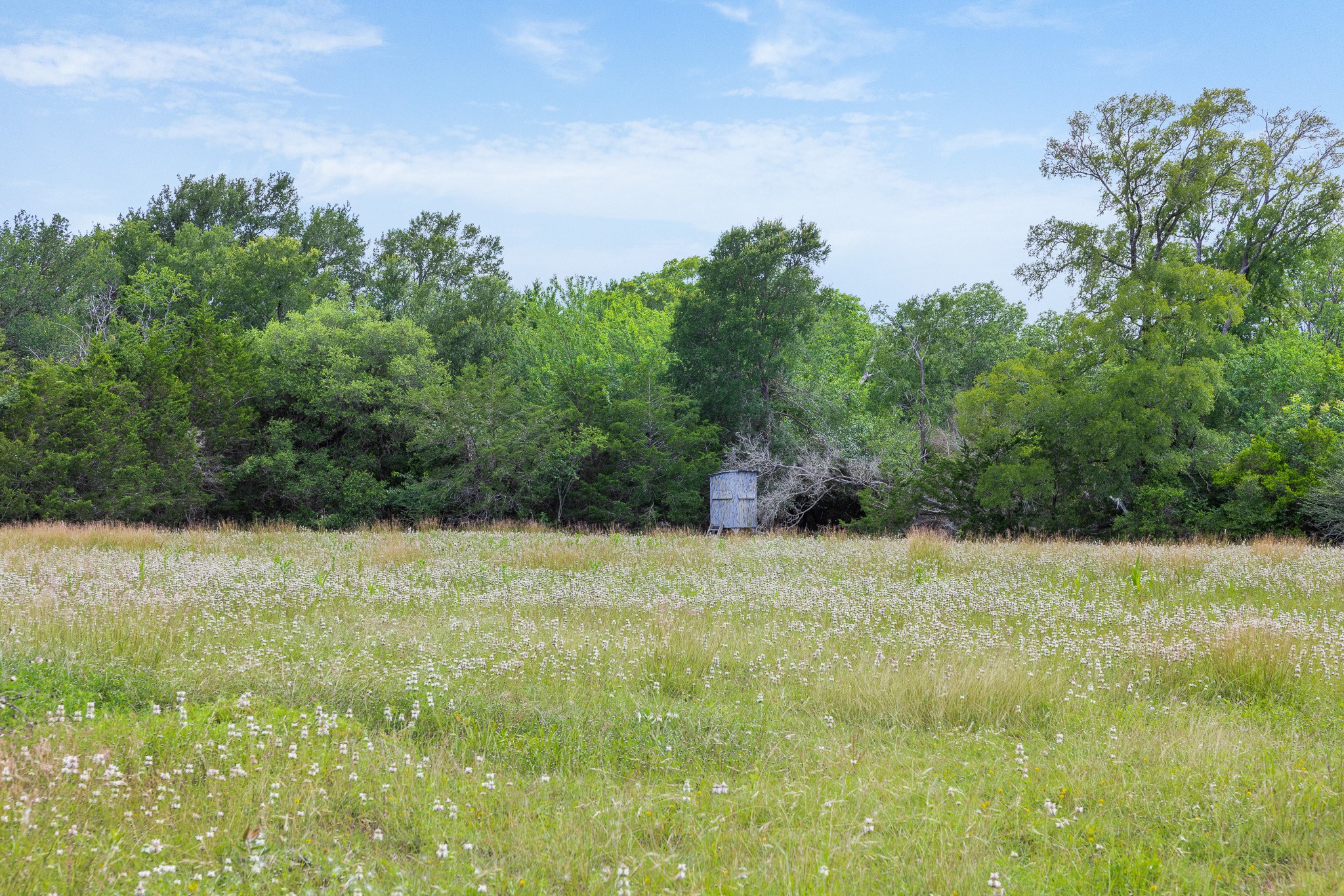 1505 Mcelroy Lane No City TX 78950