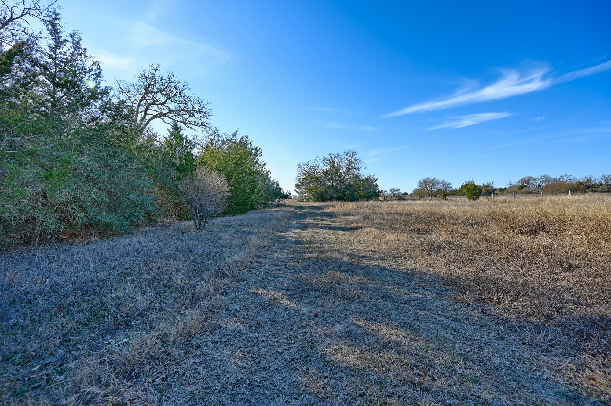 1505 Mcelroy Lane No City TX 78950