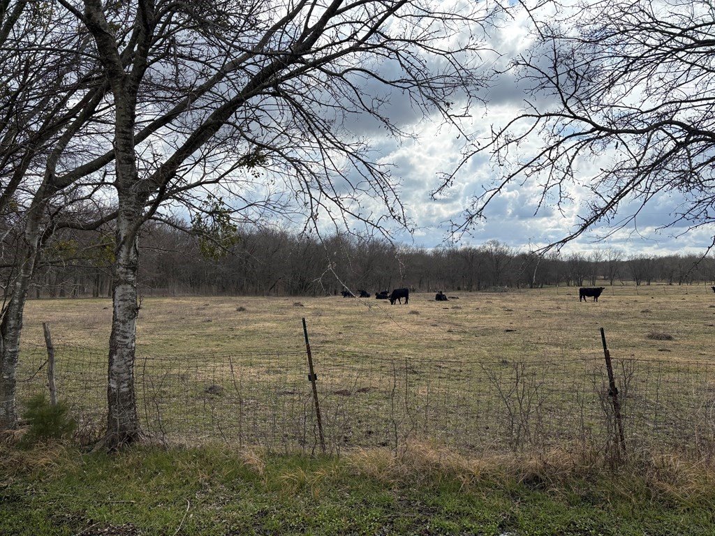 5961 County Road 4127 Scurry TX 75158