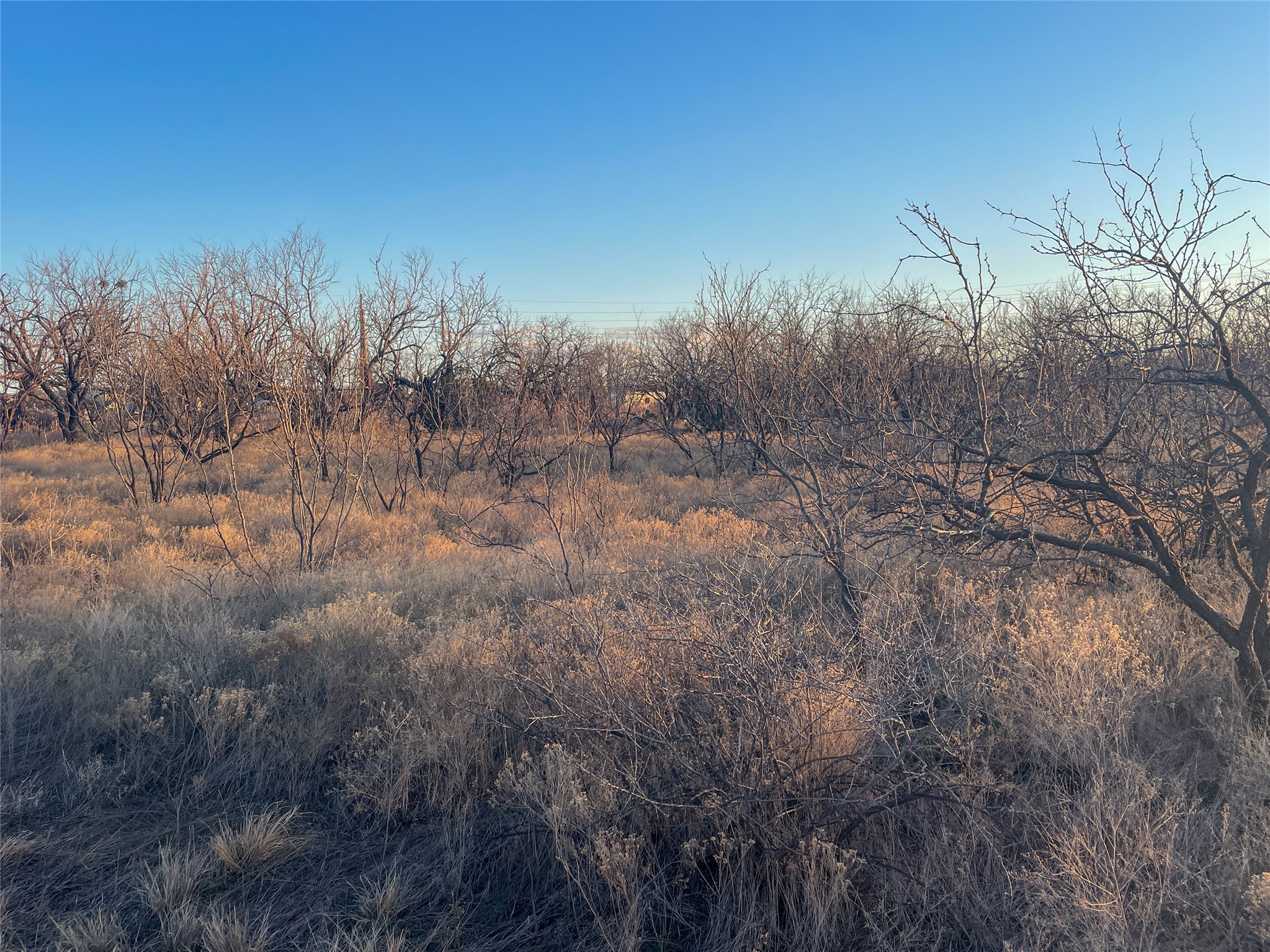 Tbd S Access Road Tye TX 79603