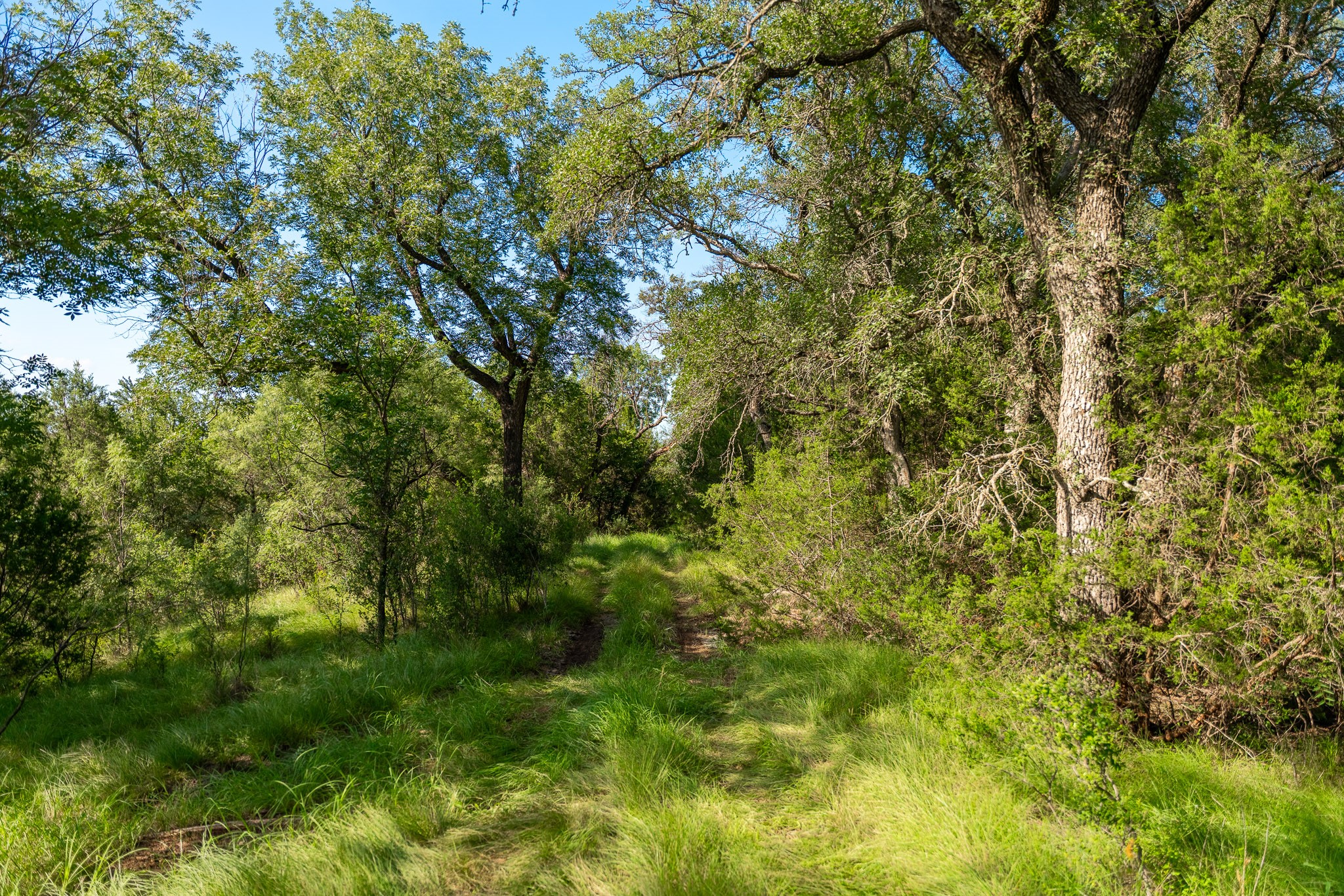 13500 County Road 224 No City TX 76827