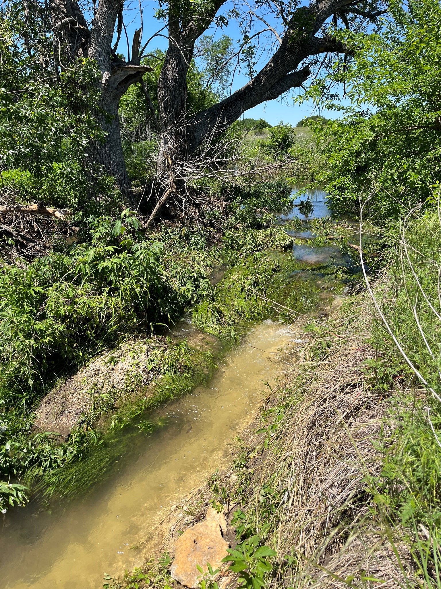 16071 Fm 107 Moody TX 76657