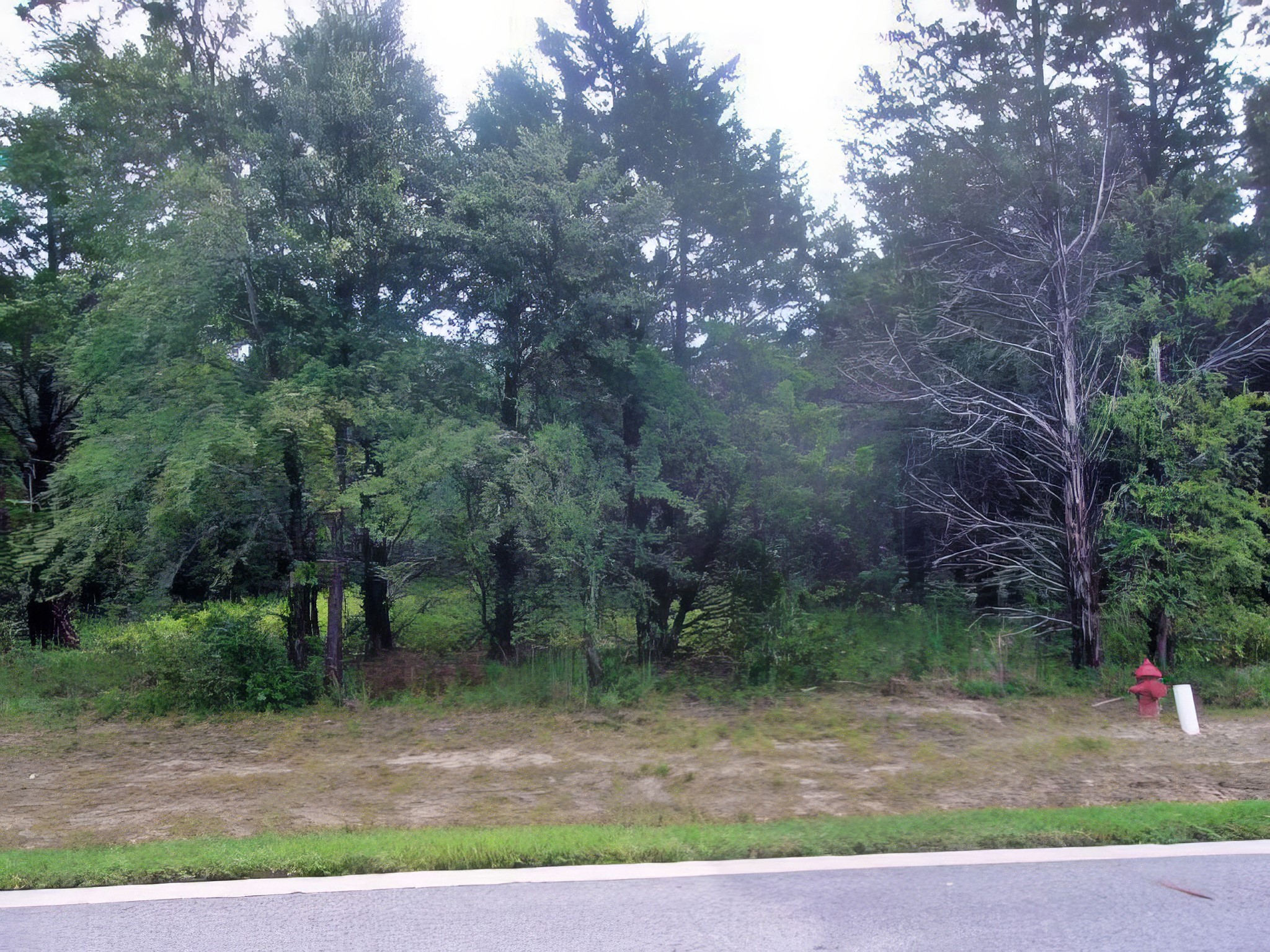 908 Eagle Oaks Drive Gordonville TX 76245