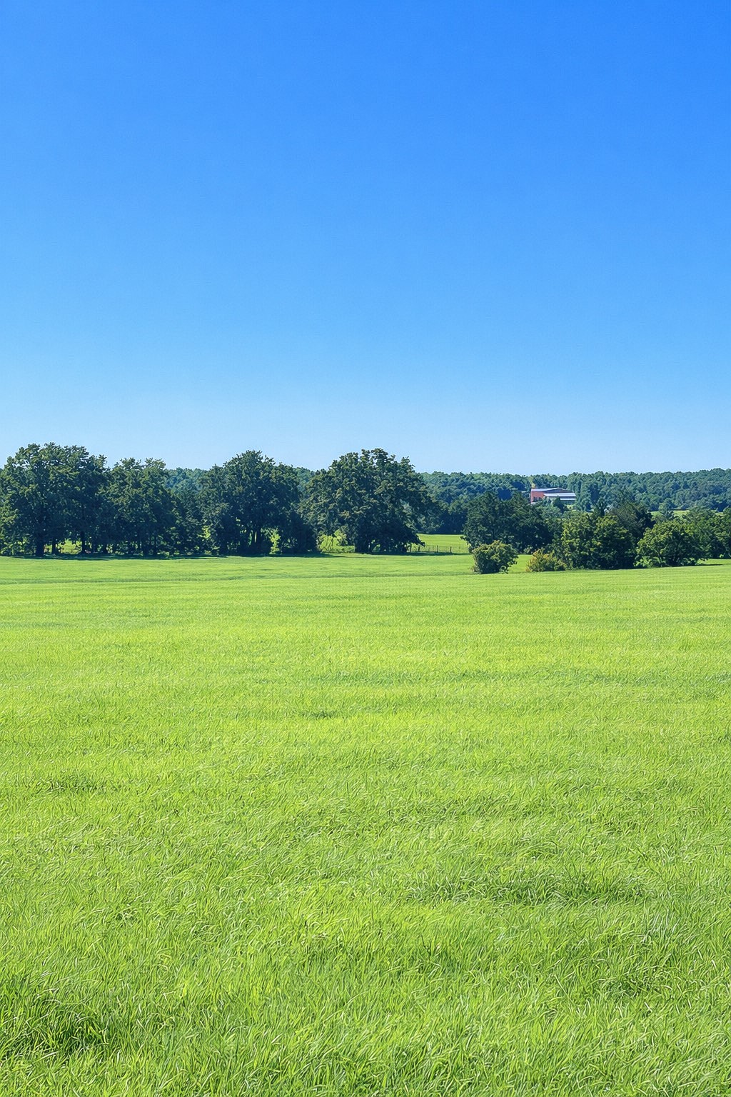 Tbd (+/- 38.77 Acres) Andreski Road Bremond TX 76629