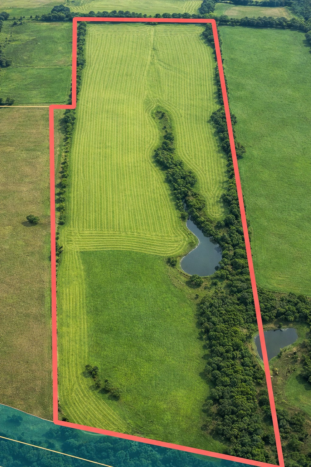 Tbd (+/- 38.77 Acres) Andreski Road Bremond TX 76629