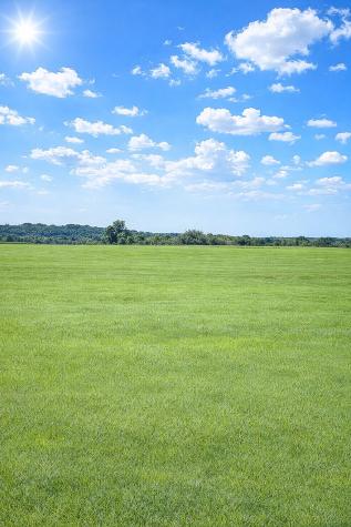 TBD (+/- 38.77 Acres) Andreski Road Bremond TX 76629