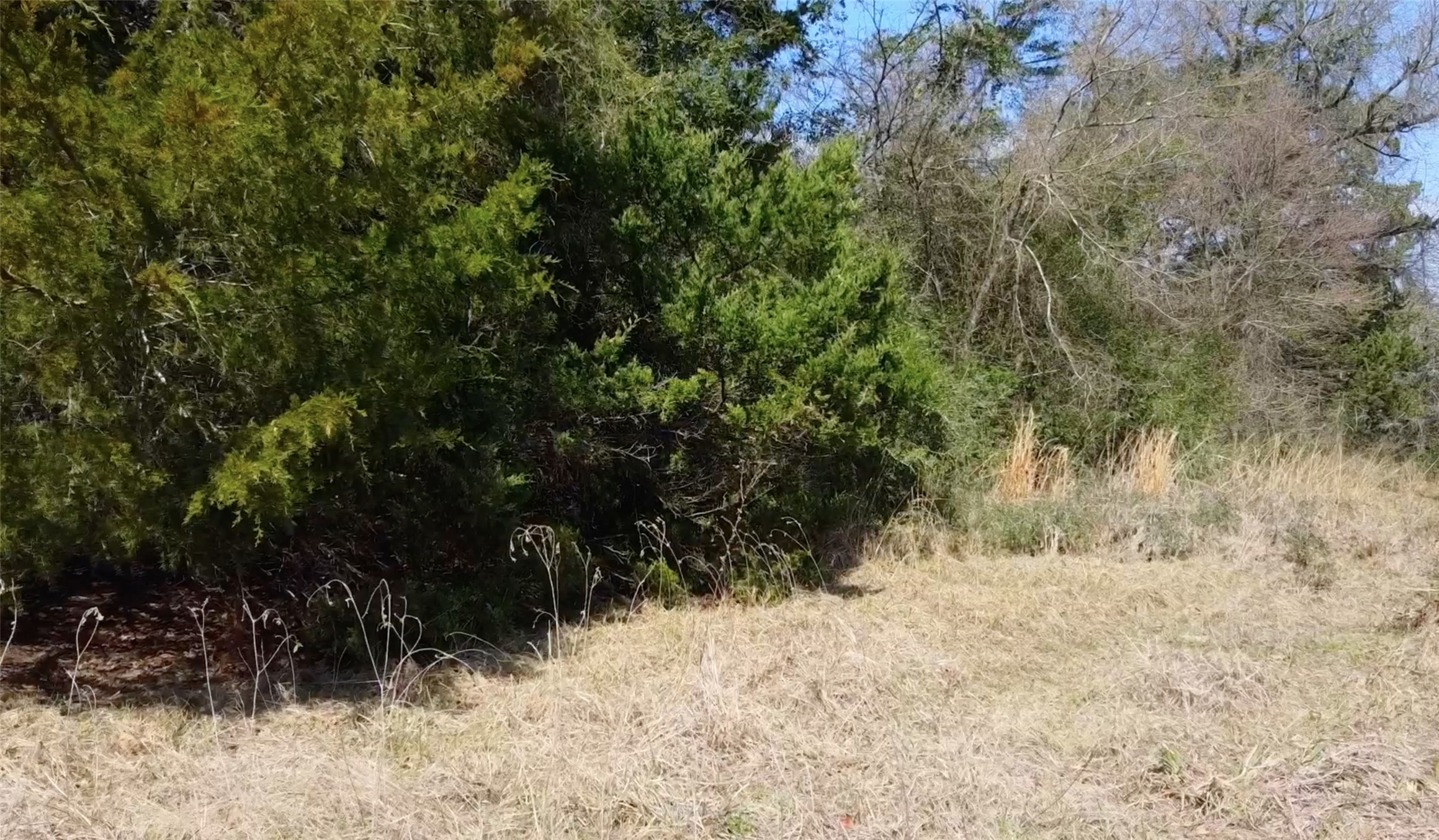0 County Road 898 Jewett TX 75846
