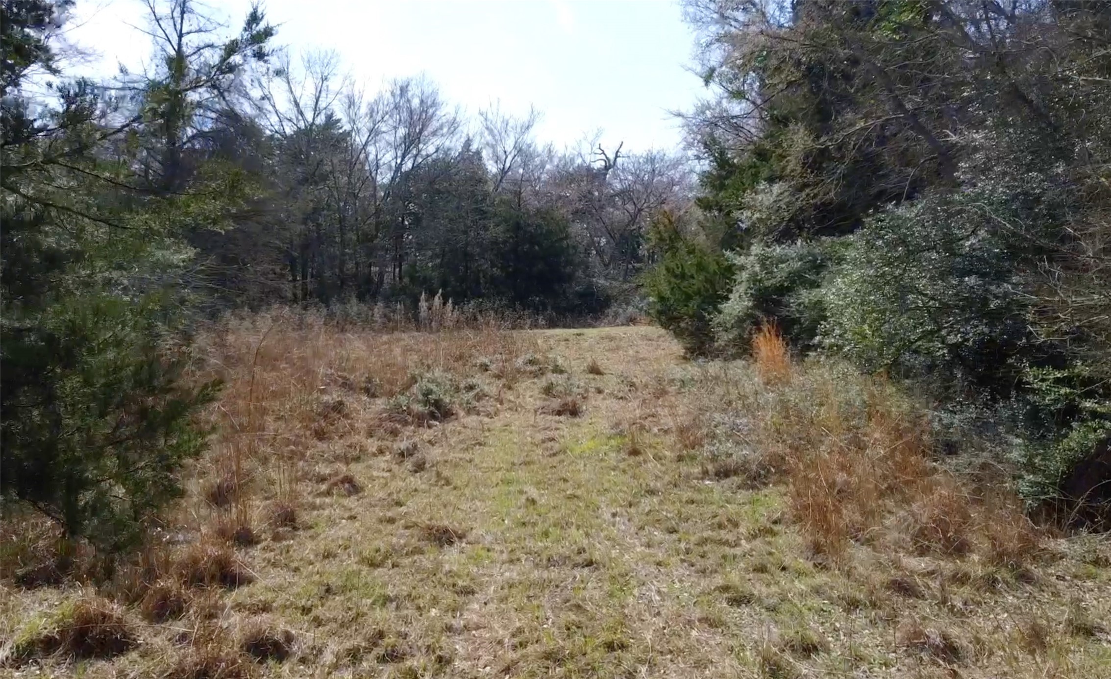 0 County Road 898 Jewett TX 75846