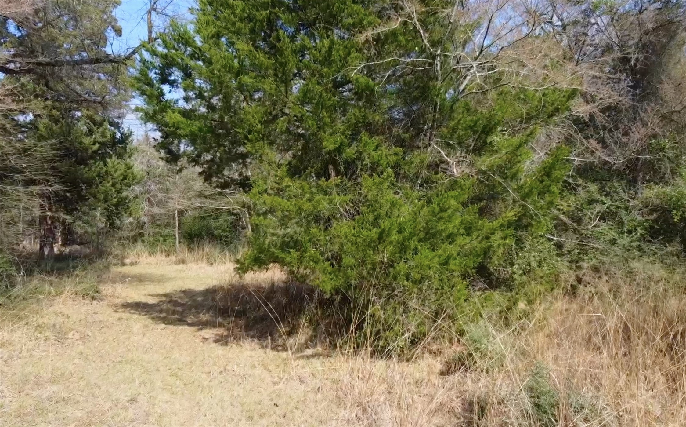 0 County Road 898 Jewett TX 75846