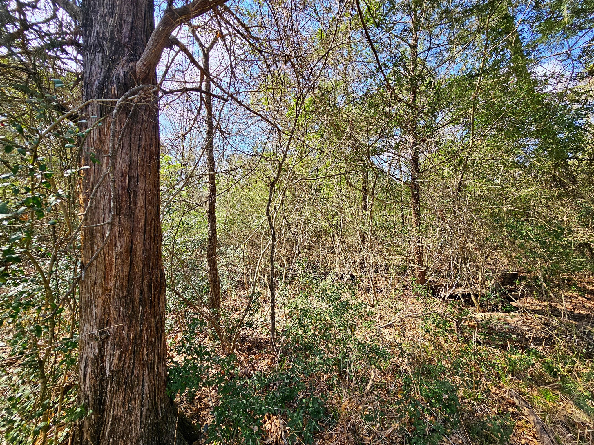 0 County Road 898 Jewett TX 75846