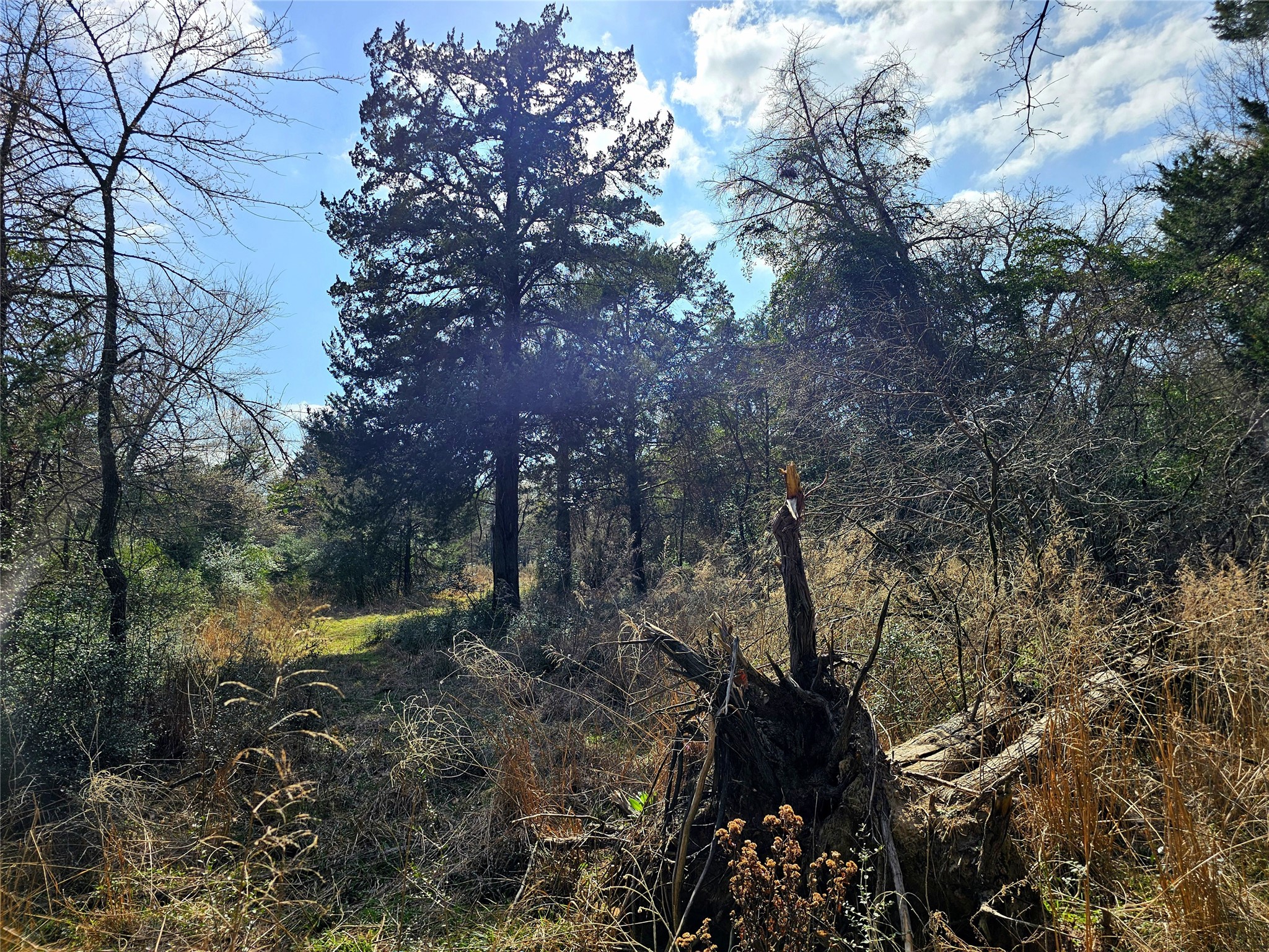 0 County Road 898 Jewett TX 75846