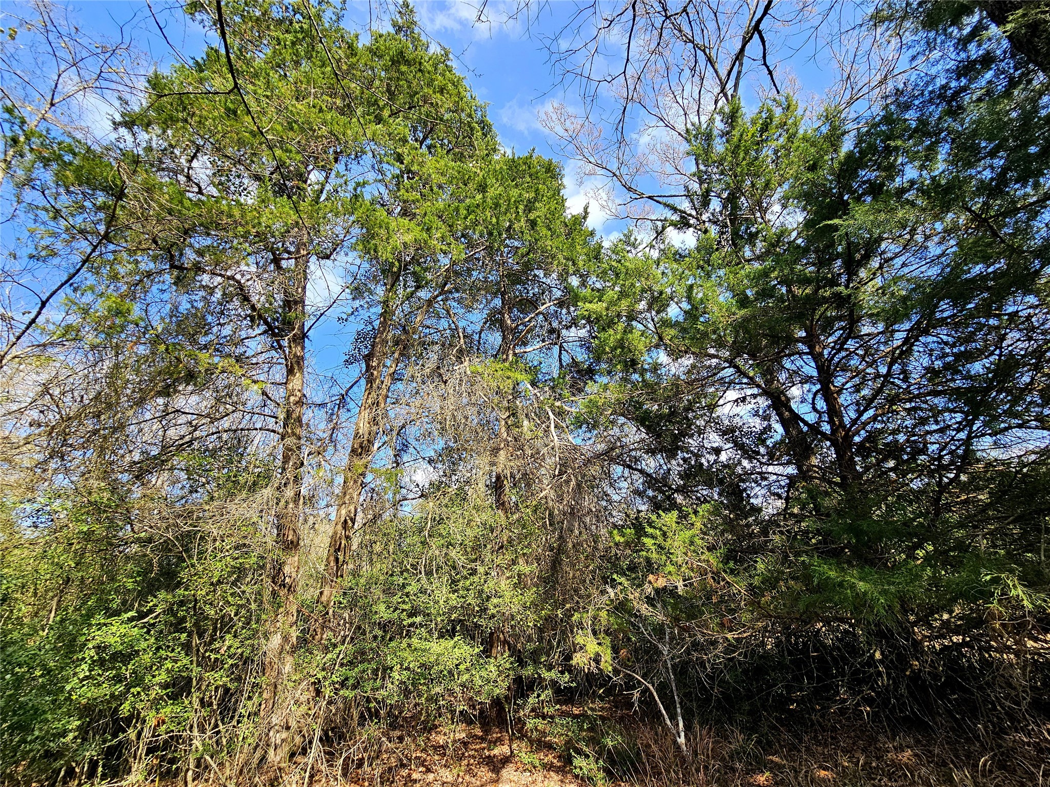 0 County Road 898 Jewett TX 75846