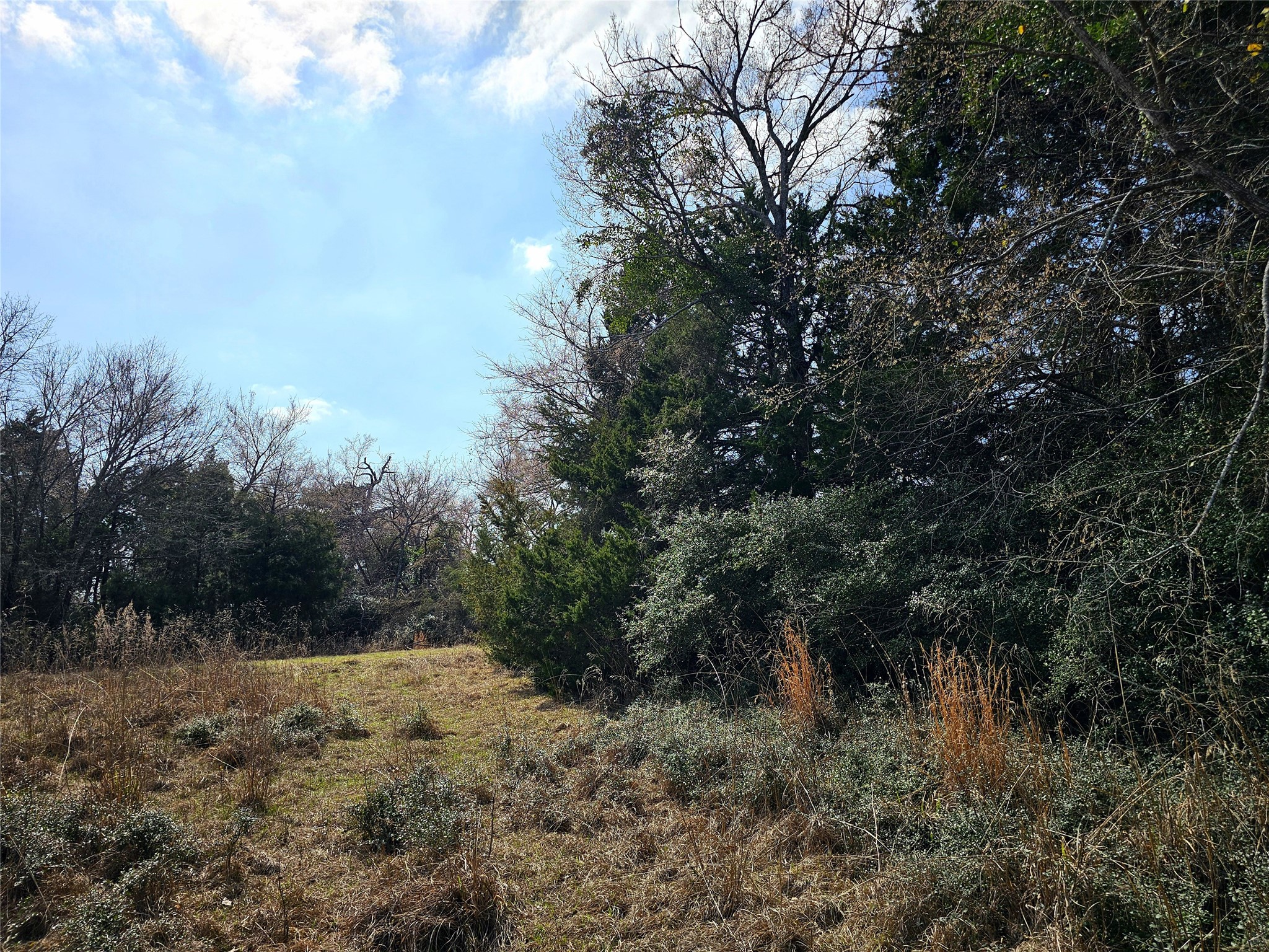 0 County Road 898 Jewett TX 75846