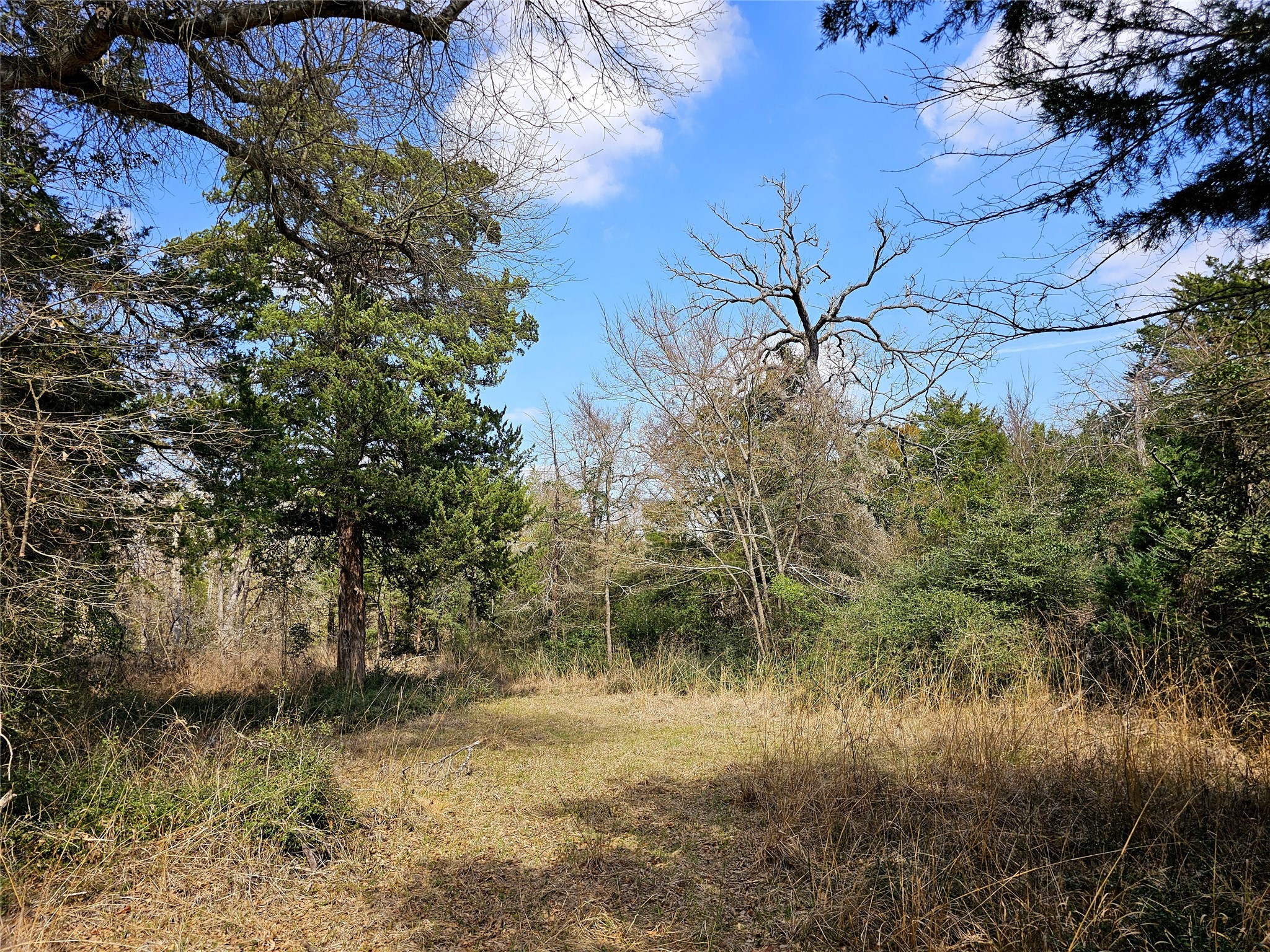 0 County Road 898 Jewett TX 75846