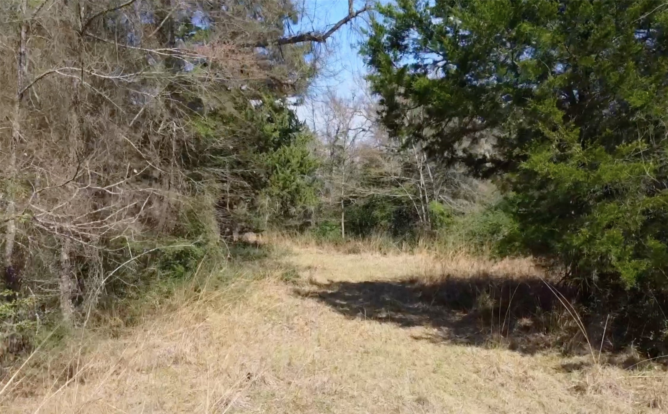 0 County Road 898 Jewett TX 75846