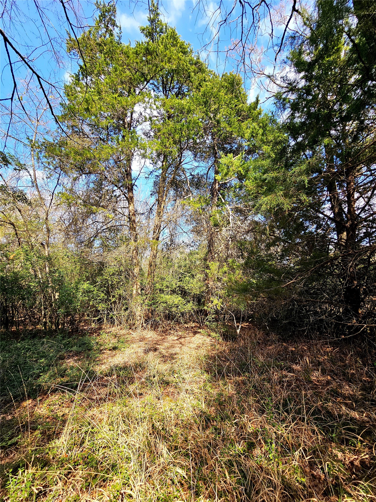 0 County Road 898 Jewett TX 75846