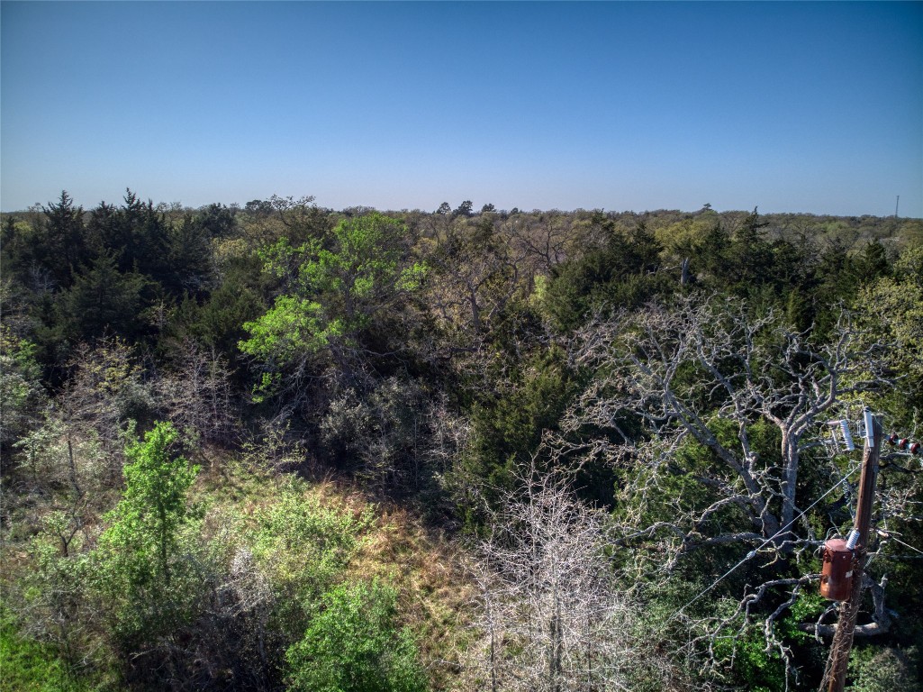 555 Blueberry Hill Road Somerville TX 77879