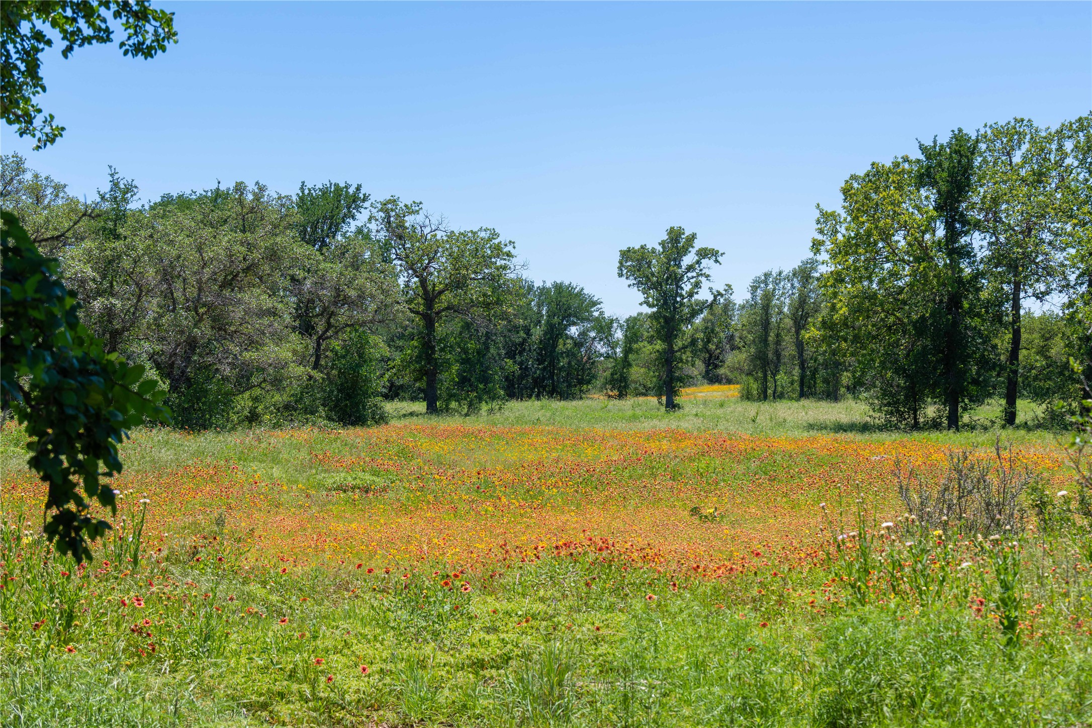 12597 F.m. 2559 Brownwood TX 76801
