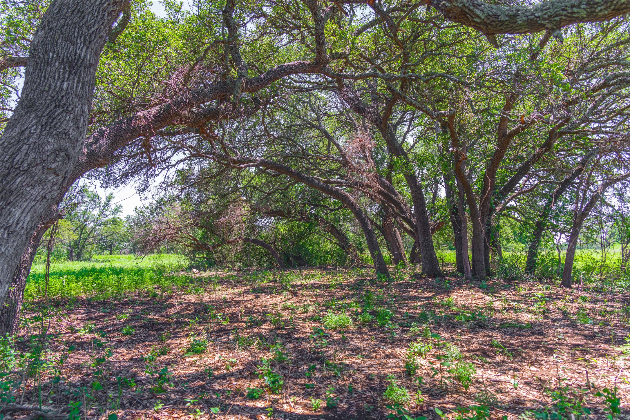 12597 F.m. 2559 Brownwood TX 76801