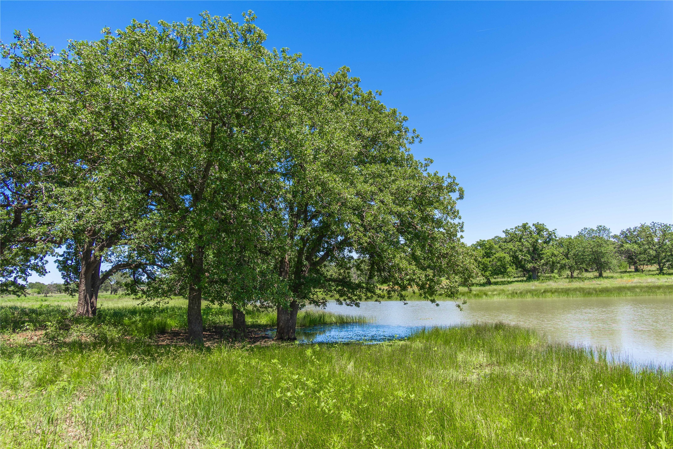 12597 F.m. 2559 Brownwood TX 76801