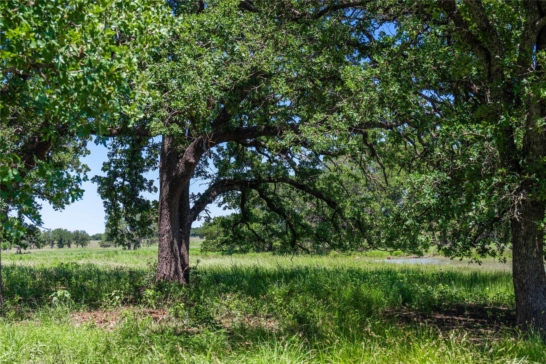 12597 F.m. 2559 Brownwood TX 76801