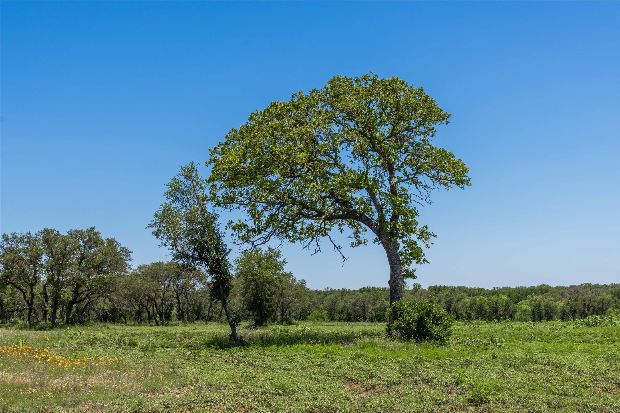12597 F.m. 2559 Brownwood TX 76801