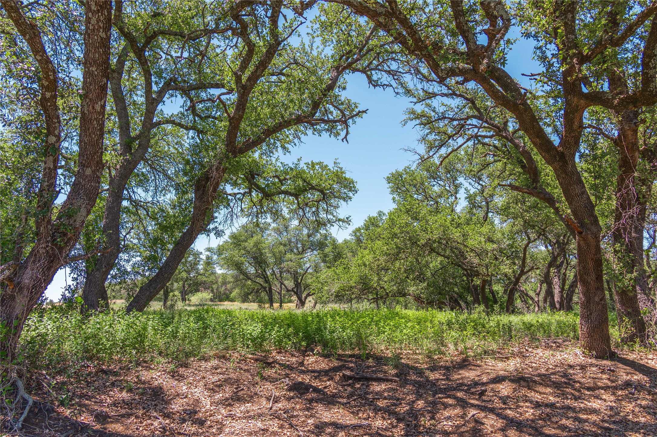 12597 F.m. 2559 Brownwood TX 76801